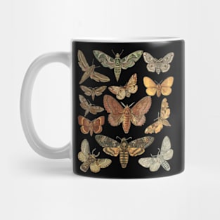 Vintage Moth Cottagecore Aesthetic Goblincore Dark Academia Mug